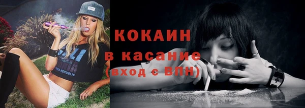 бошки Новозыбков