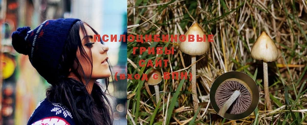 винт Абаза