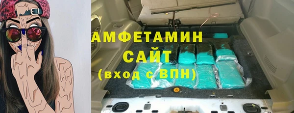 винт Абаза